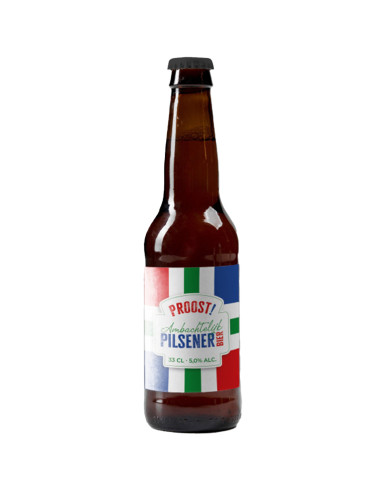 Gronings Bier Pils 33cl 5,0% 12fl afbeelding | Lambertz & Visser 