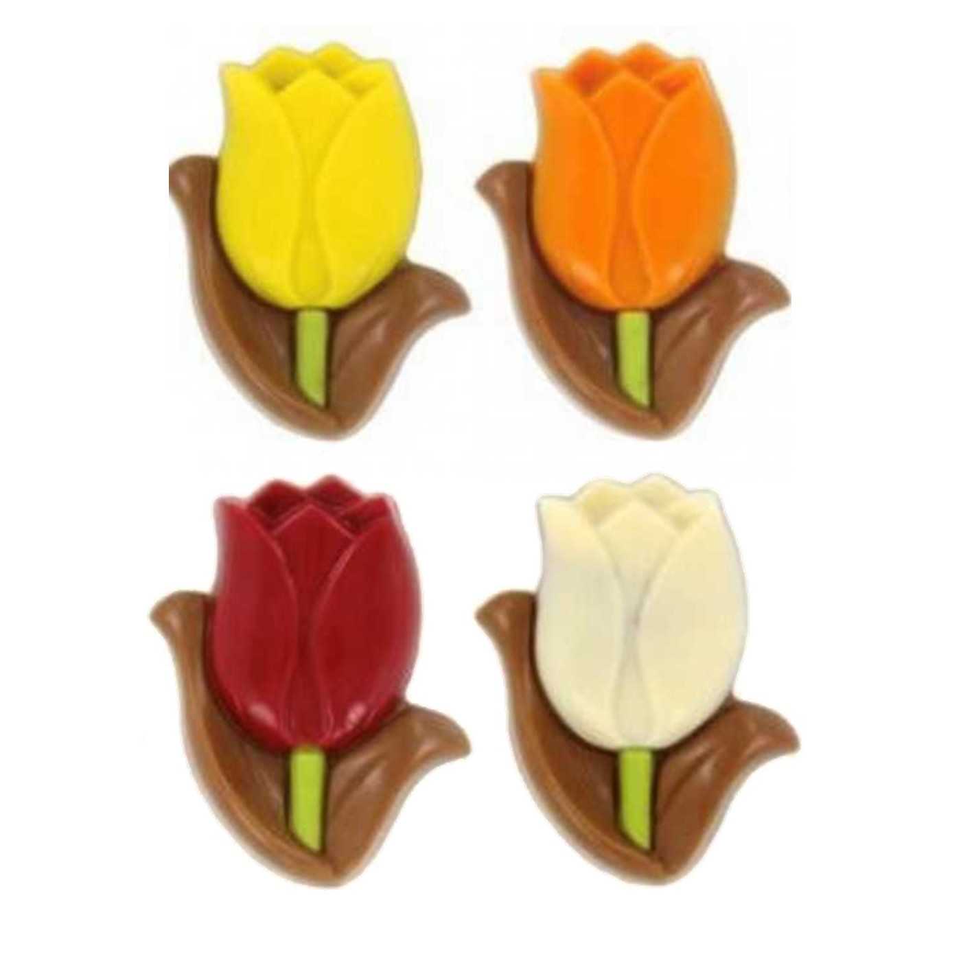 Tulips Melk Gekleurd Assorti 15g 2,16kg afbeelding | Lambertz & Visser 