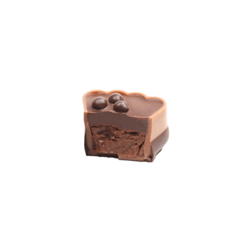 Taartpunt chocolade ganache 17g 1,58kg NIEUWE INHOUD