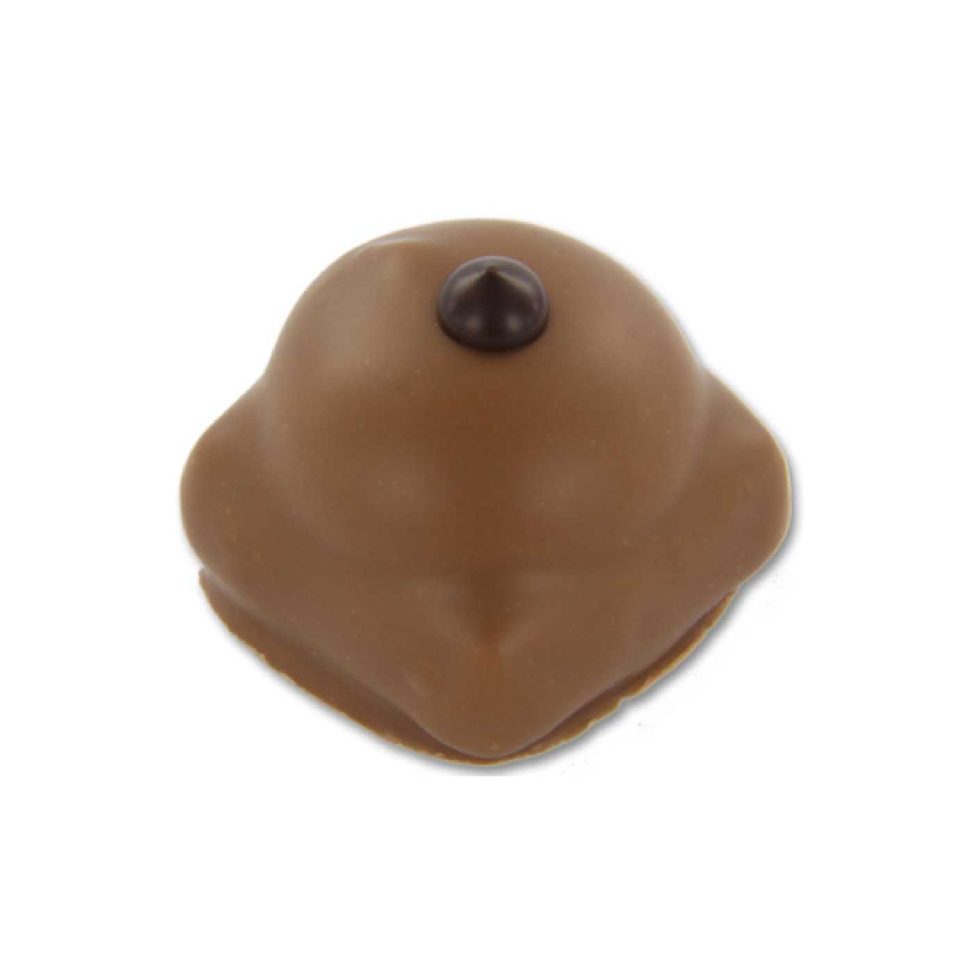 BB Iris Irish Coffee praline melk 1kg afbeelding | Lambertz & Visser 