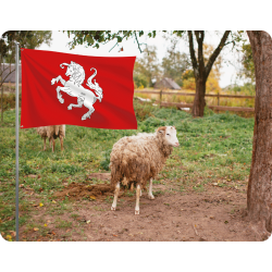 Twente