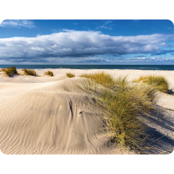 Waddeneilanden